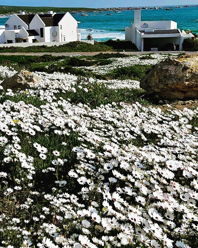 Sonkwas 10 Villa Paternoster Kültér fotó